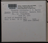 Image Associated With the Occurence
